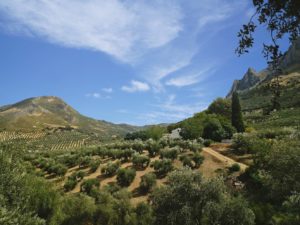 Cortijo Abril